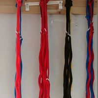 Bungee Lines