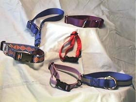 Dog Collars