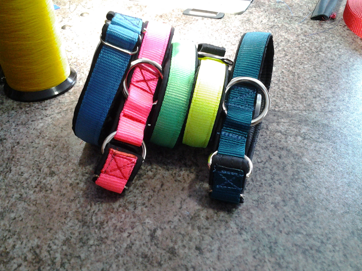 Dog Collars