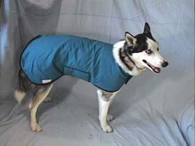 Dog Parka